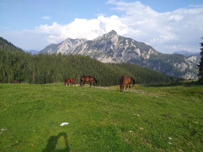 Mountainlove Strobl Kültér fotó